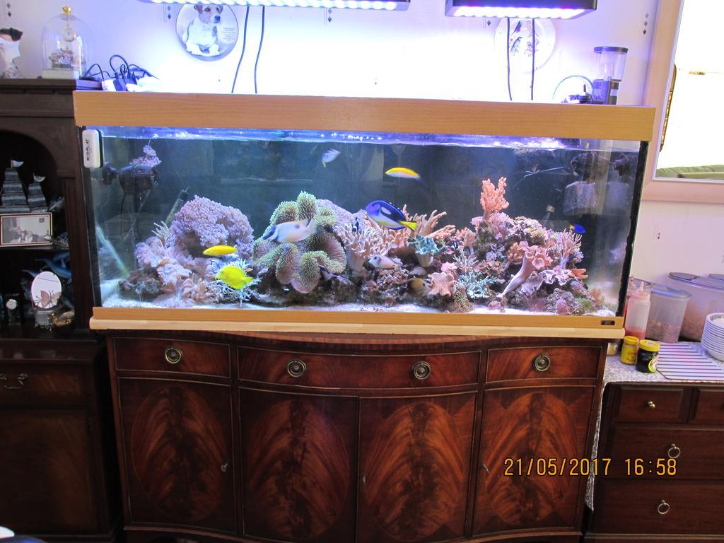 Valdene Hotel Paignton Dış mekan fotoğraf